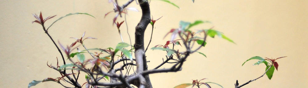 Christopher Phillips